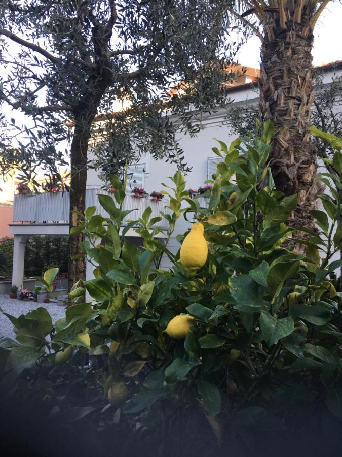 Guesthouse Villa Jung 보르디게라 외부 사진